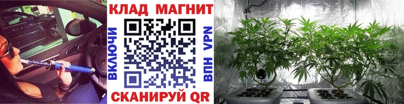 Купить наркотик Коряжма Гашиш Конопля Alpha PVP Меф Cocaine