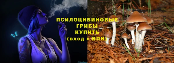 стафф Баксан